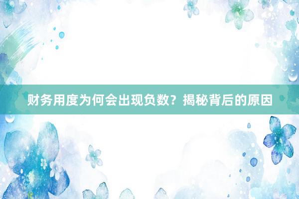 财务用度为何会出现负数？揭秘背后的原因