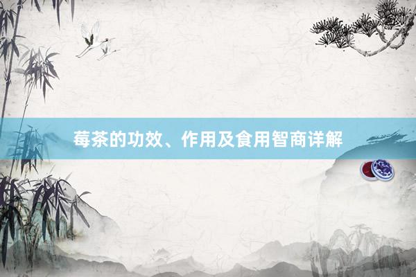莓茶的功效、作用及食用智商详解