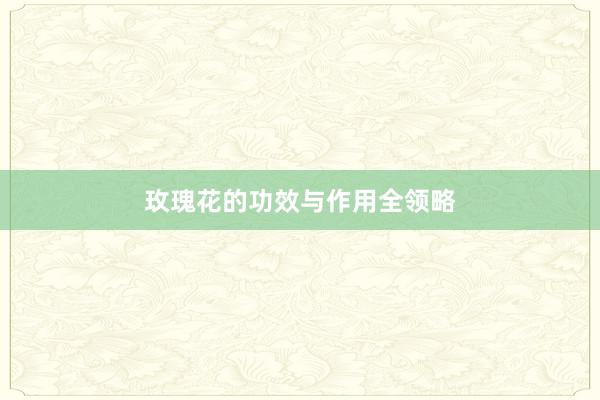 玫瑰花的功效与作用全领略