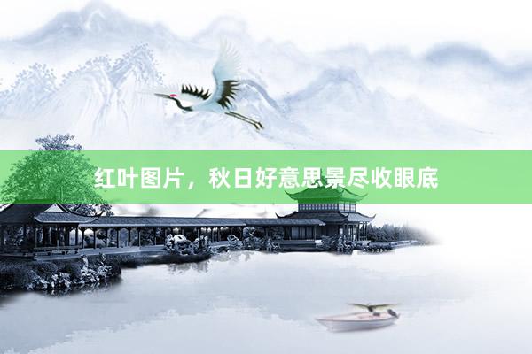 红叶图片，秋日好意思景尽收眼底