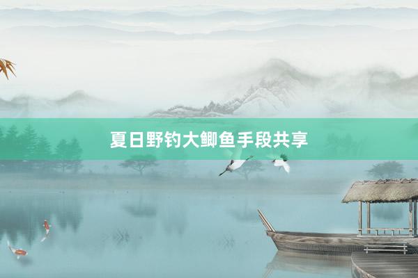 夏日野钓大鲫鱼手段共享