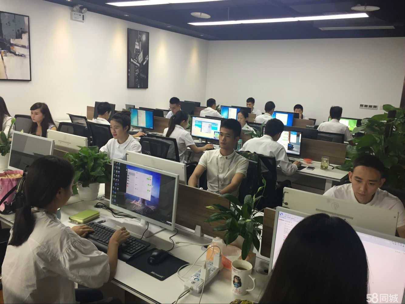 深耕数字沃土，通达智慧未来——四川沃通信息技术服务的价值与实践